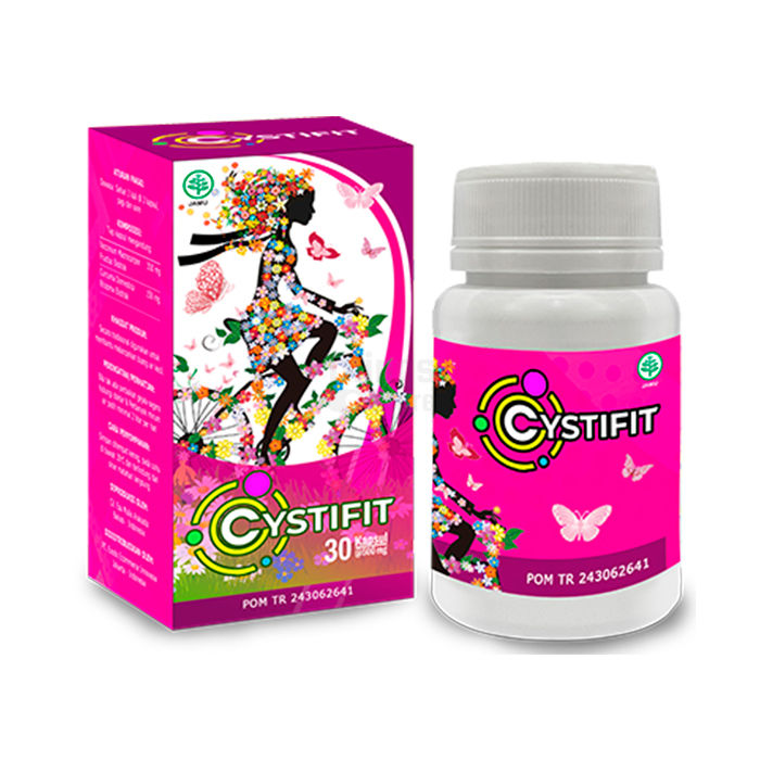 Cystifit product for the health of the genitourinary system